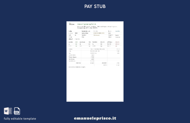 modello di busta paga Anewa Engineering in stile verificato